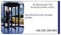Professional Cab logo