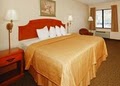 Quality Inn image 4