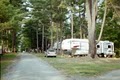 Rest-N-Nest Campground image 1