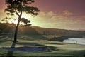SGH Golf Inc image 5