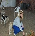 SIRIUS FUN at West Ridge Doggy Daycare image 2