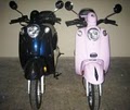 Scooters Go Green image 4