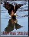 Shadow Wings Consulting image 1