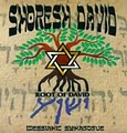 Shoresh David Messianic Synagogue of Tampa logo