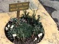 Smallest Park image 2