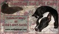 Smiling Sox Pet Care image 1