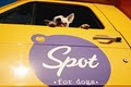 Spotted Dog logo