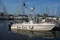 St.Pete Fishing Charters image 3
