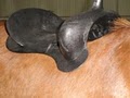 Sugar River Western Saddles and Horse Tack image 9