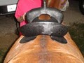 Sugar River Western Saddles and Horse Tack image 10