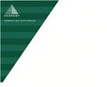 THE EVEREST REAL ESTATE GROUP logo