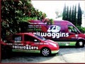 Tailwaggins mobile grooming image 2