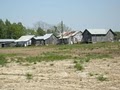 Tallahatchie Flats image 1