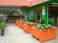 Tampa Bay Farmers Market image 2