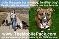 The Mobile Pack image 1
