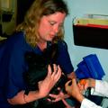 The Zimmerman Veterinary Clinic image 4