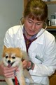 The Zimmerman Veterinary Clinic image 5