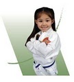 Tiger-Rock Taekwondo Academy image 2