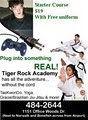 Tiger-Rock Taekwondo Academy logo