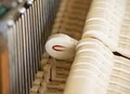 Tim the Tuner | Piano Technician image 4