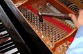 Tim the Tuner | Piano Technician image 6
