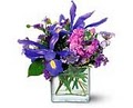 Tookiedoo Florist & Gifts - Flowers Columbia SC image 10