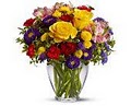 Tookiedoo Florist & Gifts - Flowers Columbia SC logo