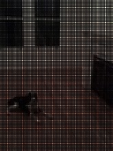 Total Pest & Home Inspection image 2