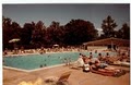 Treecourt Swimming Pool image 4