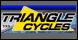 Triangle Cycles image 3
