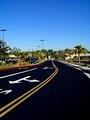 True Line Parking Lot Striping logo