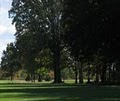 Twin Brook Golf Course logo
