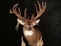 Twin Lakes Trophy Hunting, LLC image 2