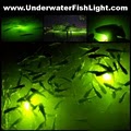 Underwater Fish Light LLC - UnderwaterFishLight.com logo
