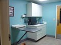 VCA Westboro Animal Hospital image 3