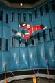 Vegas Indoor Skydiving image 1