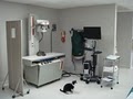 Vetcare Inc image 6