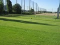 Vineyard Practice Tee image 6