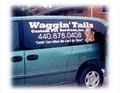 Wagging Tails Custom Pet Services image 3