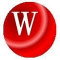Waite Commercial Services LLC logo