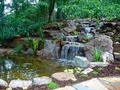 WaterScapes Pro Pond Build & Maintenance image 2