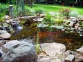 WaterScapes Pro Pond Build & Maintenance image 3