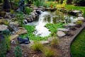WaterScapes Pro Pond Build & Maintenance image 4
