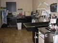 West Ridge Animal Hospital image 10