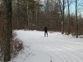 Windblown Cross Country Ski Area image 2