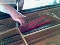 Wire and the Wood Piano Services image 8