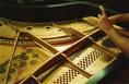 Wire and the Wood Piano Services image 9