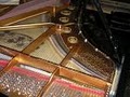 Wire and the Wood Piano Services image 1