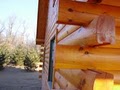 Wisconsin Log Cabin Builder - Bad Axe Log Homes logo