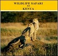 World Discovery Safaris image 1